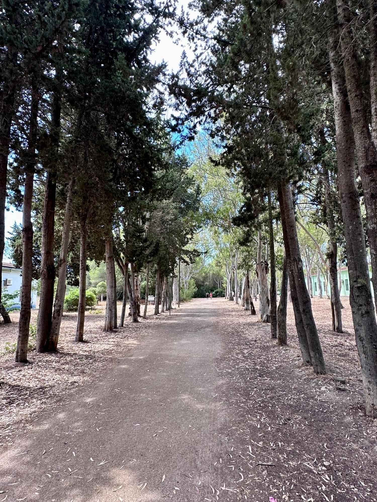 Casa Del Sol Luxury Estate Puglia Villa Leporano Bagian luar foto